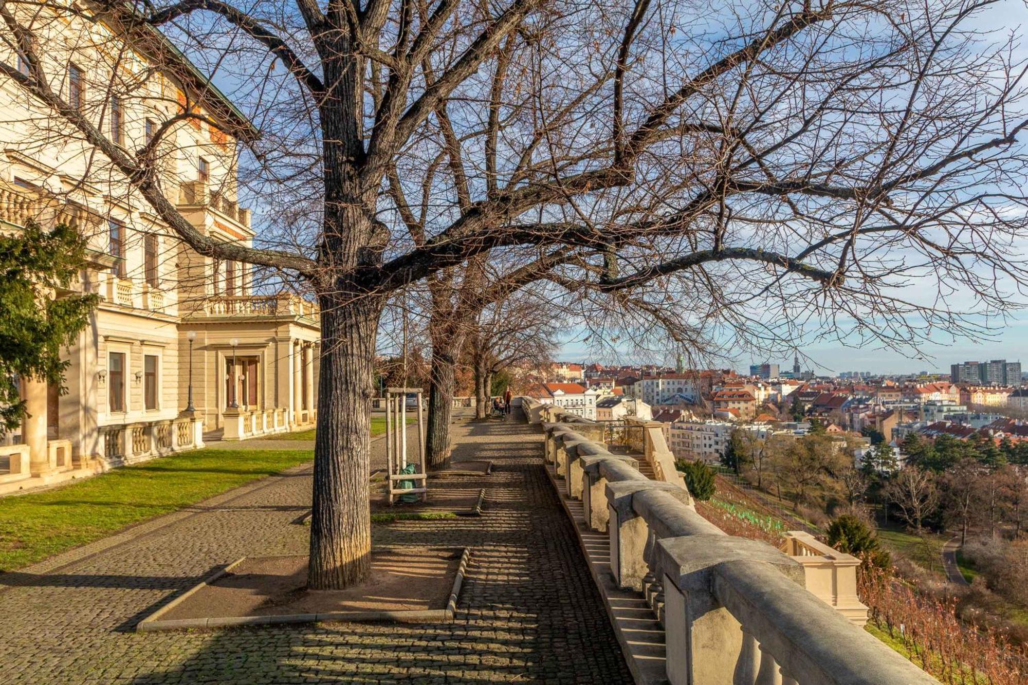 Sunny Luxury Grebovka Apartment Prag