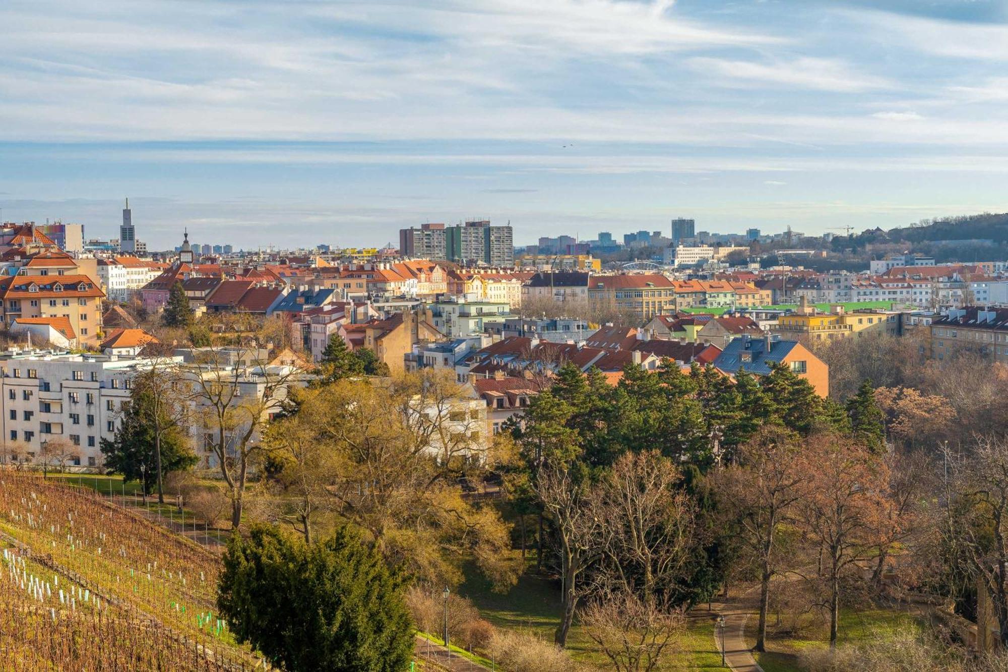 Sunny Luxury Grebovka